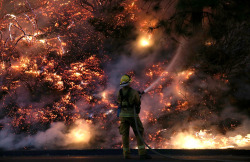 atlanticinfocus:  From Yosemite Wildfire, one of 34 photos. A firefighter uses a hose to douse flames of the Rim Fire on a hillside, on August 24, 2013 near Groveland, California. The Rim Fire continues to burn out of control and threatens 4,500 homes