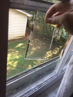 fluffy-omorashi:  So… I just broke my window……. My parents are gonna kill me my parents are gonna kill me lol… (There was a bug in my window and went to smash it……… broken the window. Idndkdmdodkdkd fuck)  Update: y’all think I’m playing…..