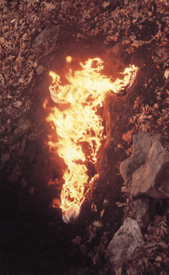 real-changer:  Ana Mendieta, Silueta en Fuego, 1976