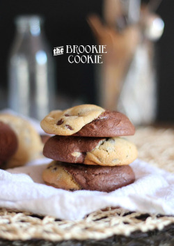 Vvidget:  The Best Cookie Recipes :D The Brownie Cookie Recipe Chocolate Chunk Cookies