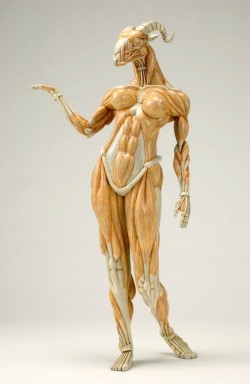 Asylum-Art:  Anatomical Sculptures Of Mythical Beings By Masao Kinoshita Sculpted