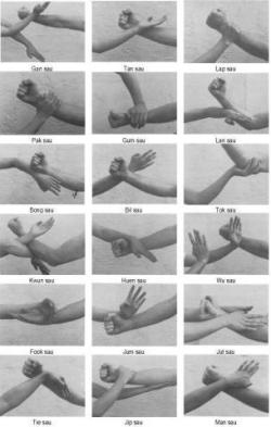dr-grayson:  The many hands of Wing Chun.