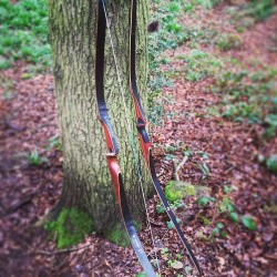 archeryadventures:  Just a couple of old buddies out for a shoot in the woods… A lovely albeit soggy day #archery #traditionalarchery #instinctivearchery #instinctiveshooting #benpearson #beararchery