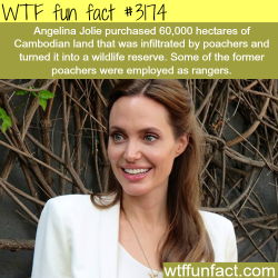 wtf-fun-factss:  How Angelina Jolie is trying to save wildlife -  WTF fun facts