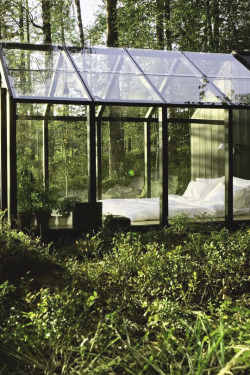 livingpursuit:  Garden Shed | Avanto Architects