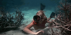 eveandherfriends:  Helen Mirren - nude in ‘Age Of Consent’ (1969)