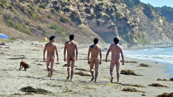 ohnesans:  active nudity (304) Playa Luna,