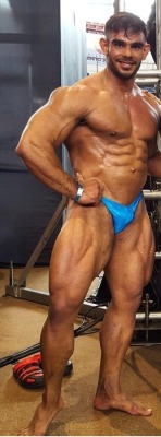 Mounds of muscles and a nice bulge - WOOF