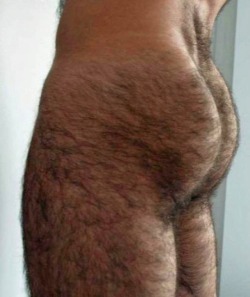 redbearbating:  redbearbating.tumblr.com  Good God, I’m Lovin that furry butt, &amp; those furry thighs too. Furry Butts Drive ME! Fuckin Nuts.  Love to lick that furry but and thighs.
