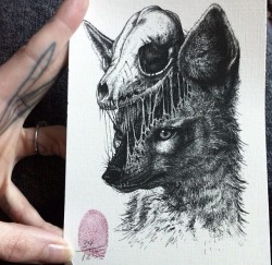 fvckingdemise: Paul jackson’s drawings are so pretty 