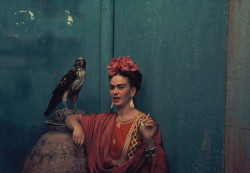 queromeninar:  Frida always being a badass 