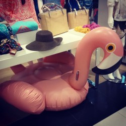 oldfilmsflicker:  Apparently this giant blow up #flamingo is not for sale  I now have a huge need of an inflatable flamingo