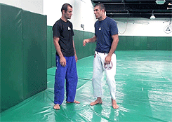 kellymagovern:  Rener & Ryron Gracie showing headlock escapes. [Video Link]