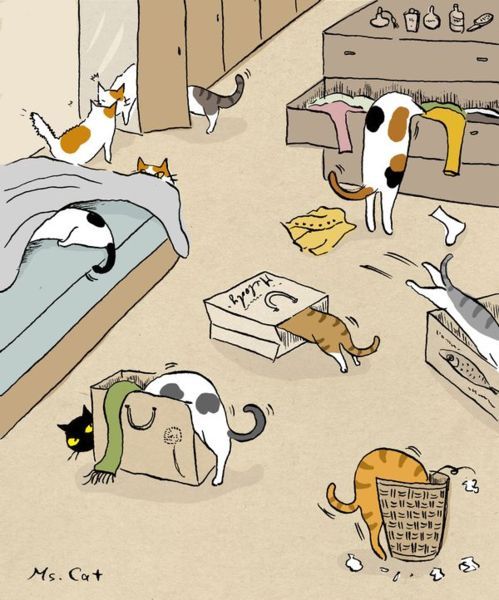 catsbeaversandducks:Cute illustrations by Ms. Cat