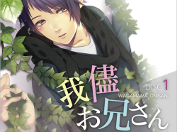 dlsite-girlside:  Wagamama Onisan Disc 1 The Original Voice Drama CDPresented by Kaminawa Design  Mitsuki and Sumire are two halves of a popular boy band called K.ings. Whatever troubles come their way, the boys are friends for life.  Their manager Tokiwa