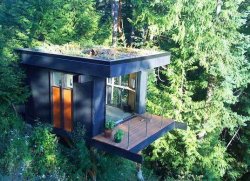 3leapfrogs:  thekhooll:  The Office Treehouse Office by Peter Frazier is set amongst the trees above Chuckanut Bay in Bellingham, Washington.  www.3leapfrogs.tumblr.com-+-{ frog       l e a p I n g }-+-