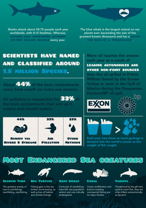 Sex underthevastblueseas:  Infographic by ReuseThisBag pictures