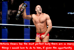 wwewrestlingsexconfessions:  Antonio Cesaro has the most perfect body there are so many things I would love to do to him, if given the opportunity.