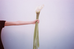 theflowerpapi: Inspired by Diego Rivera - “The Flower Seller” Stephanie Angulo - Kodak Portra 160 Photographed by Brandon Stanciell 