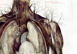 nunziopaci:  Nunzio PaciTitle: Pregnant Forest (datail) / Foresta Gravida (dettaglio)Dim: cm 100x100 Tecnique: pencil, oil, enamel on canvas / matita, olio, smalto su telaYear: 2013 