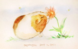 derlaine:  Some older sketches, I used to own guinea pigs ;D; I did these in watercolor, so rare for me! Also I’m resolving to update my Facebook art page more~ I can’t let RDJ and Jim Beaver out-facebook me, they’re older than me!!! Check it out