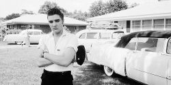 vinceveretts:  Elvis photographed by Phil Harrington at his Audubon Drive home in Memphis, May 1956.  