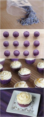 lilese-bluejay:  Lavender Cupcakes With Honey Frosting  patchworkroyalty this will probably be my required form of payment for your photoshoots so keep that in mind 