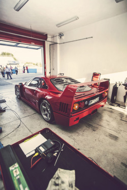 themanliness:  Ferrari F40 | Source | More     Hottest car ever!!