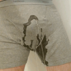 hfwetter:Wetting grey boxer briefs. Would’ve loved for a nice 2  minute flow, but wasn’t planning for this, so I leaked (in the toilet) earlier.