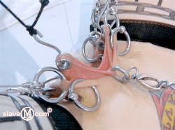 the-real-slavem:  New Labia piercings from the new video of slaveM http://www.clips4sale.com/13628/14009073 