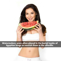 Watermelon facts