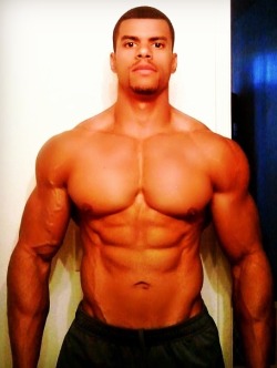 sagittariussevens:  #Husband #material #Muscle #ripped #torso #guns #motivation #perfection