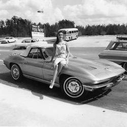 corvettelife:  1963 Corvette 