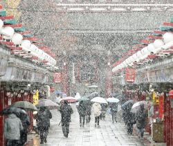 todayintokyo:Snow in Tokyo and Kamakura on 24 November 2016, the first November snowfall in this region since 1961. The images are from Mashable (who calls it hauntingly beautiful photos of Tokyo, though it includes Kamakura scenes). Top to bottom, Nakami