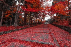 wandaz9305:  sixpenceee:  A picture of Bishamon-do Temple in Kyoto. (Source)   Is this what Autumn looks like inn Kyoto? 