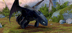 jackthevulture:  briannathestrange:  a warm Toothless is a happy Toothless {x}  I love this bit. Because its gives you a really good look at Toothless’s anatomy, his movement, and his markings. 