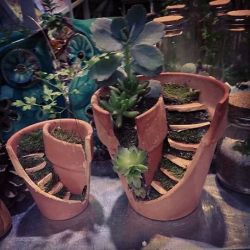 mb24jg:  wincherella:  vwalker:  superserum:  maegalcarwenraven:  Here is what to do with some old, broken terracotta pots!  by ‘old, broken terracotta pots’ do you mean magic?  Things for Mom.  I totally want to do this in the summer.   Want! 