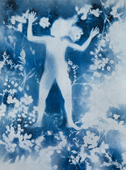 joeinct: Untitled, Lifesize Blueprint Photogram by Robert Rauschenberg, 1951