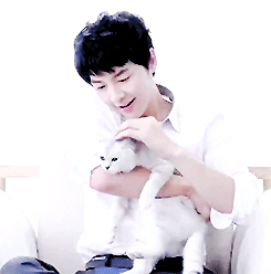 lionbaek:  our flower boy playing with a kitty ^^ 