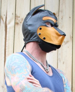 humanpuppics:  One of the more common questions I hear among those new to human pup play is what sort of pup hood or mask to consider… Of course this is always going to come down to personal preferences however I do have some thoughts on what a few