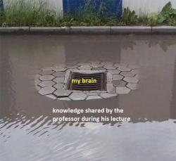 ahumbleslug: I like the implication that my brain is a sewer. I can get on board with that 