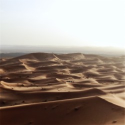 looking-wanting:  The Sahara.