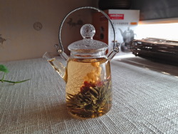 angel-teavivre:  If you like flower tea, which one is your favorite glass teapot? 