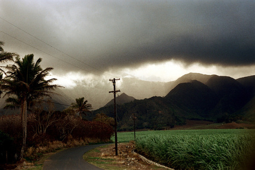 Porn Pics 17-334 by nick dewolf photo archive on Flickr.hawaii,