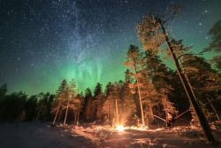 tiinatormanenphotography:  Stargazing In the woods.Â 27th Nov 2016, Southern Lapland, Finland.by Tiina TÃ¶rmÃ¤nen | web | FB | IG | STOCK