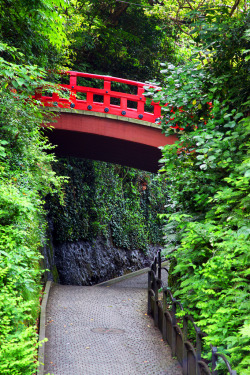 son-0f-zeus:  Red Japanese Bridge by Joe  