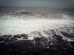 goodluck-godspeed:  .went down to the beach to feel the freezing pacific waters.