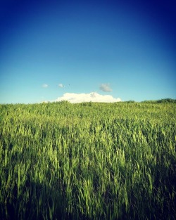 #clouds #eastcounty #contralomareservoir #spring  (at Contra Loma Reservoir) https://www.instagram.com/p/Bva-wgunrHY/?utm_source=ig_tumblr_share&amp;igshid=15gda00fxjos3