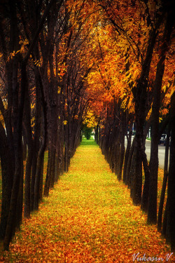 Etherealvistas:  Autumn (Serbia) By Vule Vu  