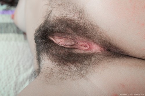 XXX mash692:  Love to eat and fuck this hairy photo